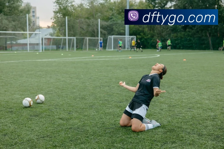 App Interface Preview